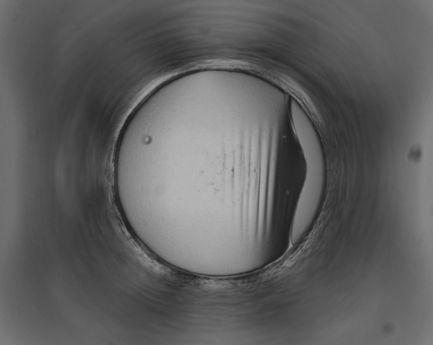 X0000096970852200803071004