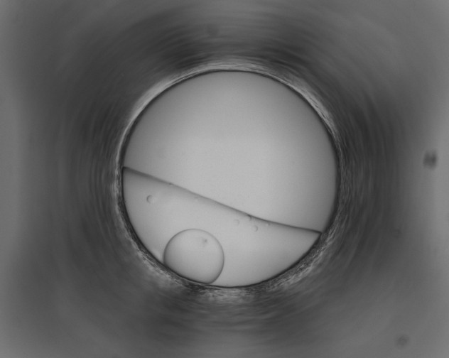 X0000096970853200803071004