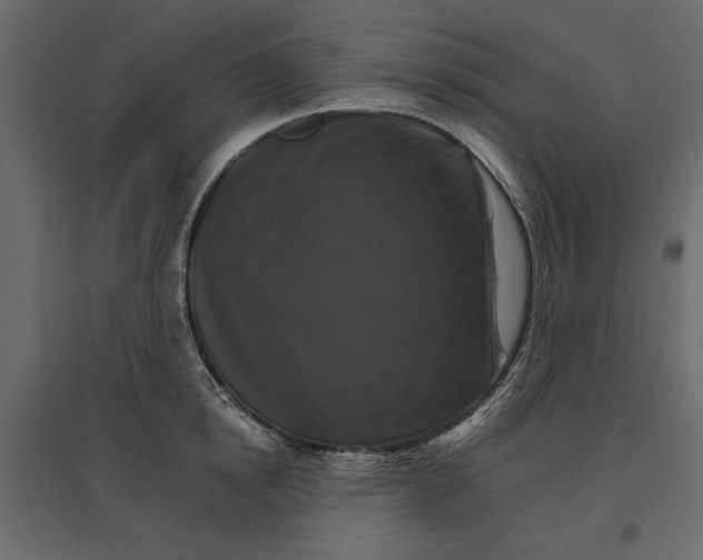 X0000096970854200803071004