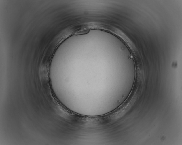 X0000096970857200803071004