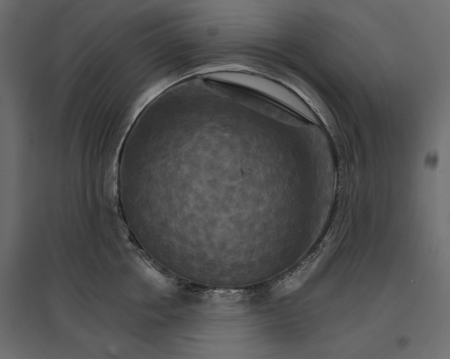 X0000096970858200803071004
