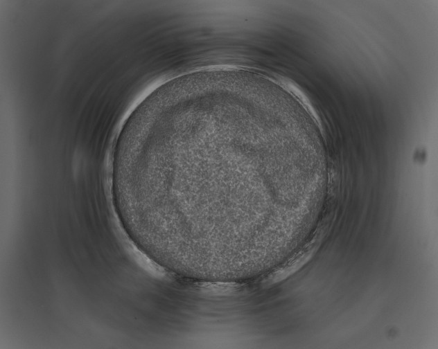 X0000096970859200803071004