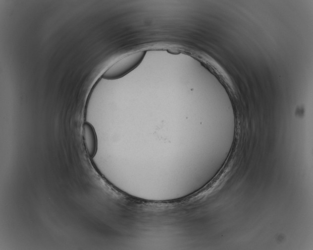 X0000096970860200803071004