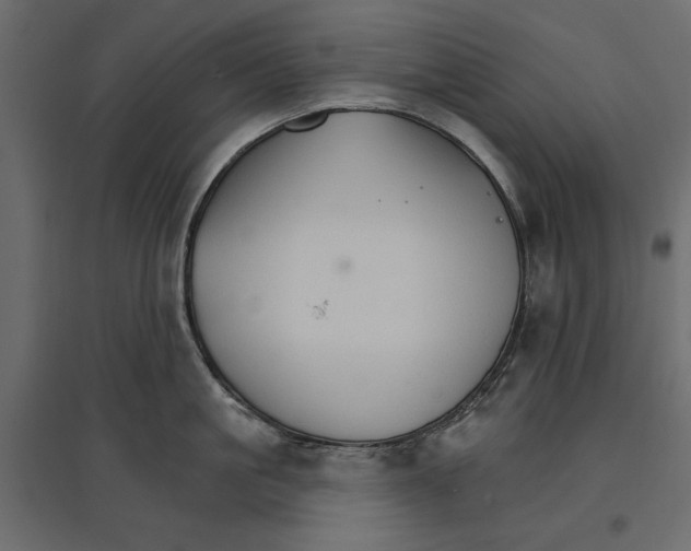 X0000096970861200803071004