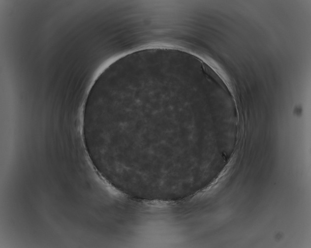 X0000096970862200803071004