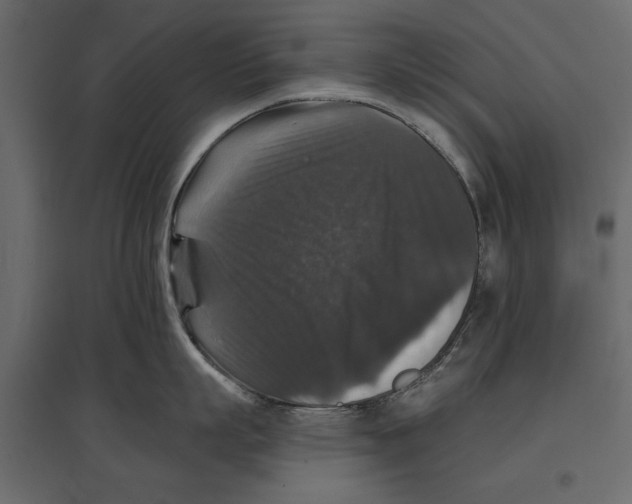 X0000096970863200803071004
