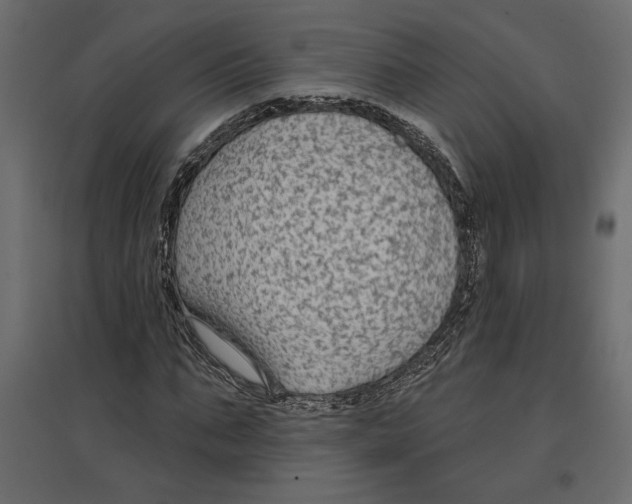 X0000096970871200803071004
