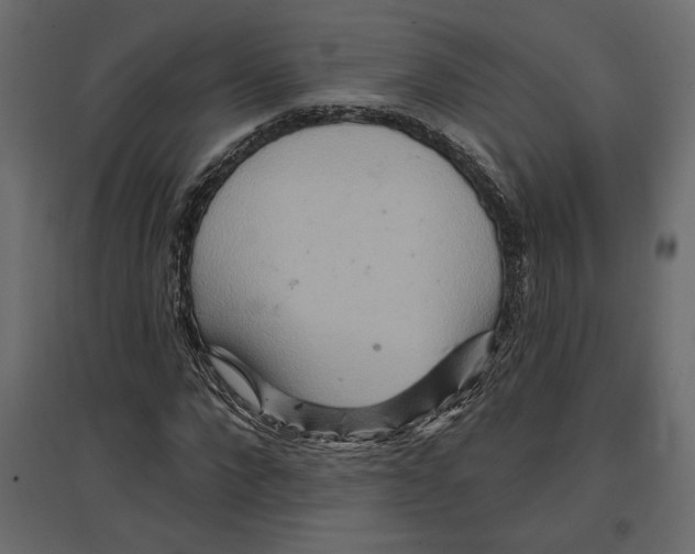 X0000096970872200803071004