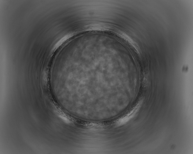 X0000096970874200803071004