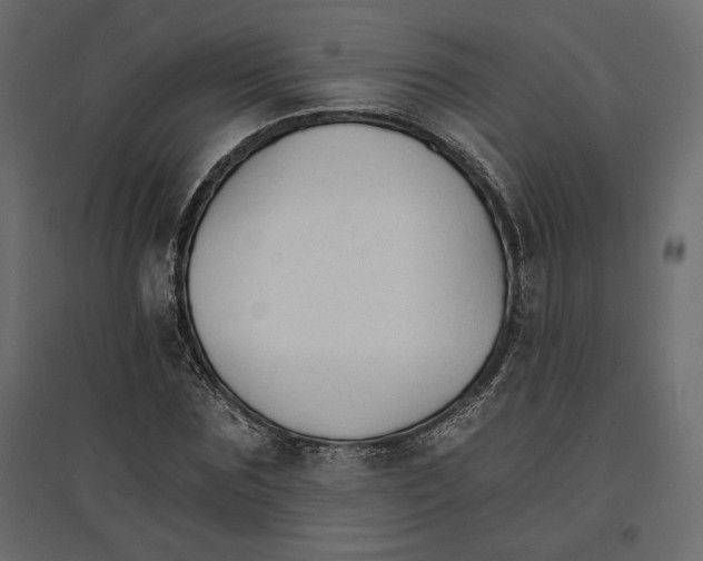 X0000096970875200803071004
