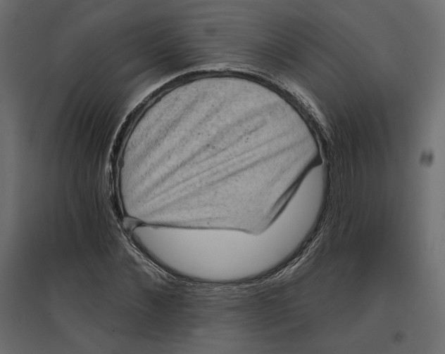 X0000096970876200803071004