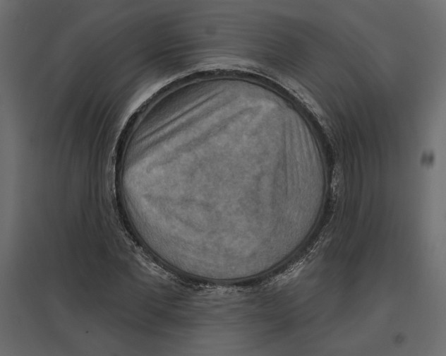 X0000096970877200803071004