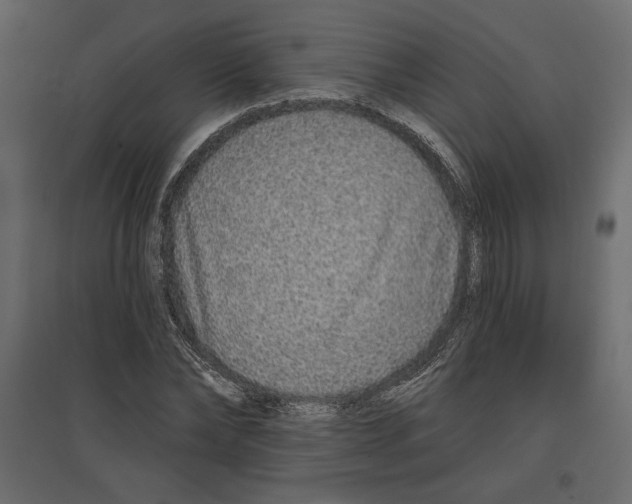 X0000096970878200803071004