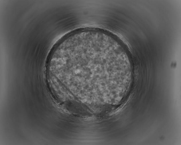 X0000096970879200803071004
