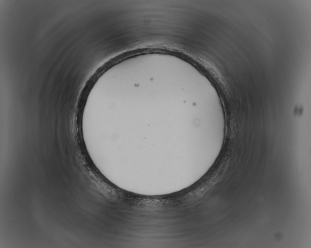 X0000096970880200803071004