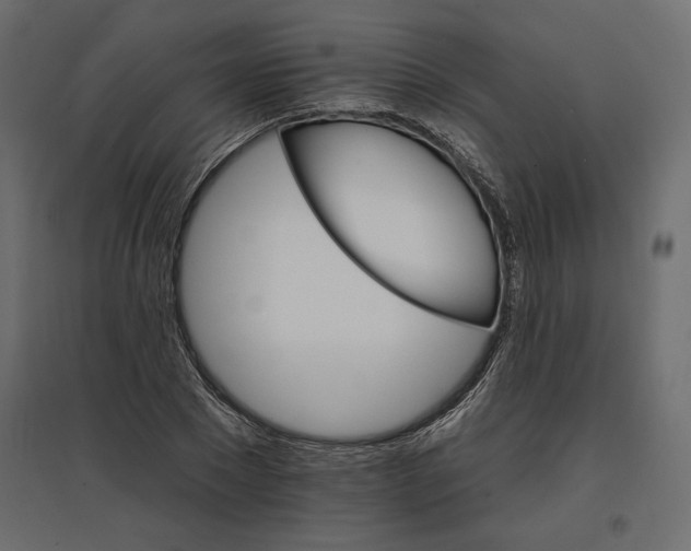 X0000096970881200803071004