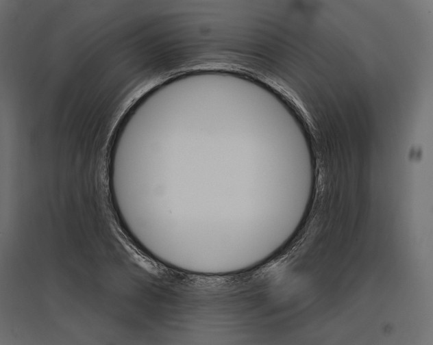 X0000096970882200803071003