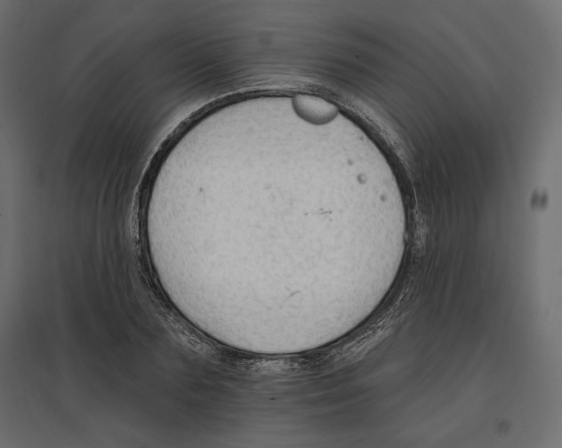 X0000096970883200803071003
