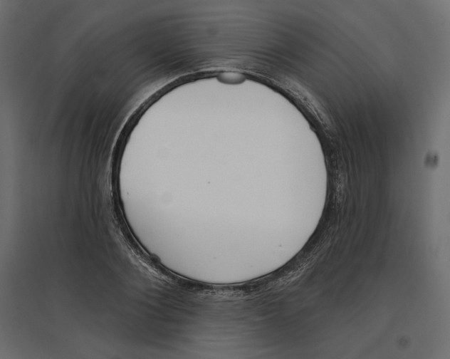 X0000096970884200803071003