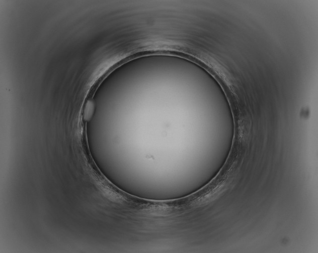 X0000096970885200803071003