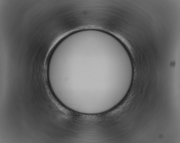 X0000096970886200803071003