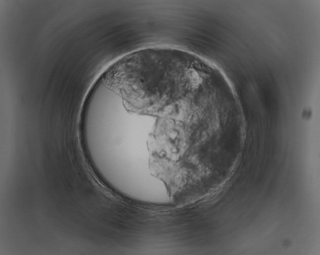 X0000096970887200803071003