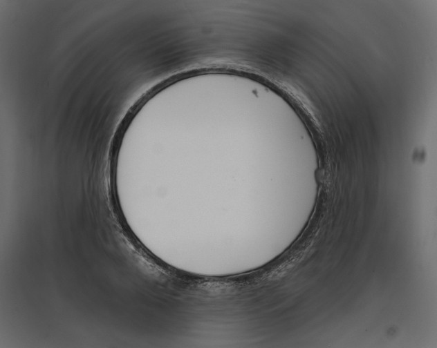 X0000096970888200803071003