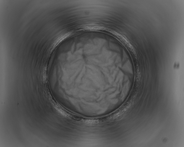 X0000096970889200803071003