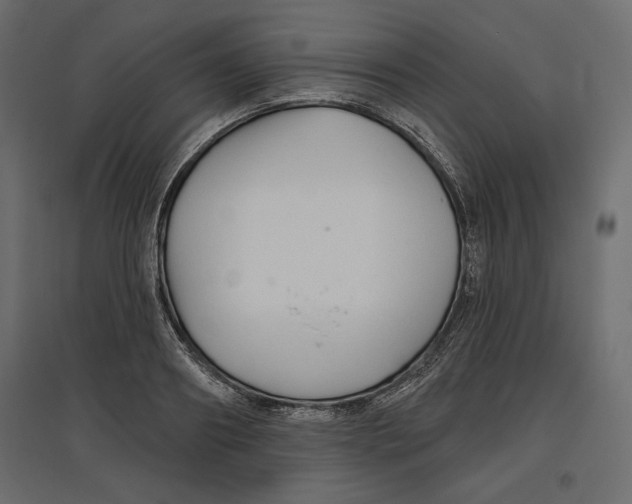 X0000096970890200803071003