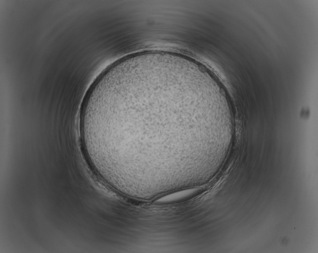 X0000096970891200803071003