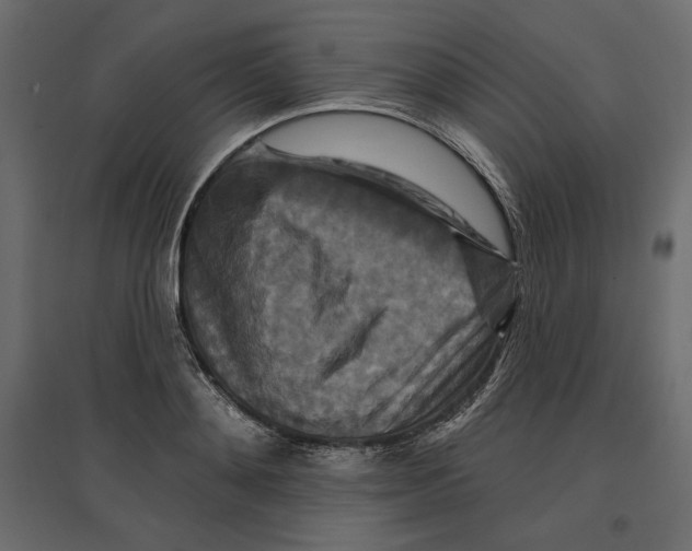 X0000096970892200803071003