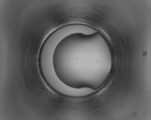 X0000096970893200803071003