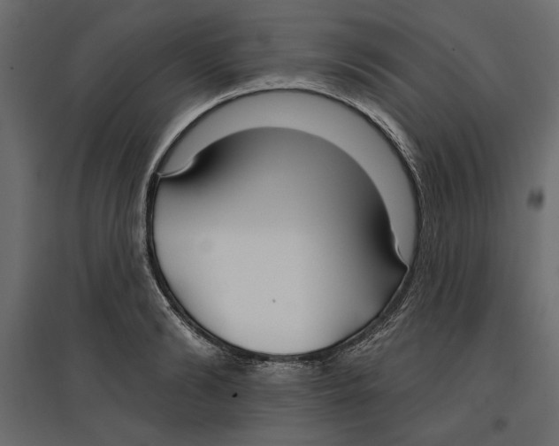 X0000096970894200803071003