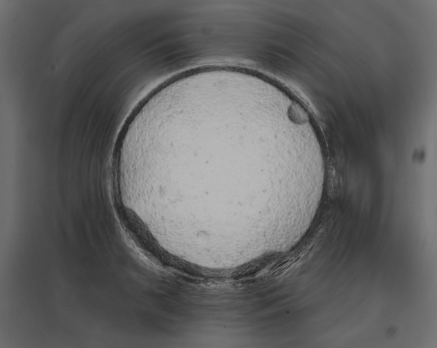 X0000096970895200803071003