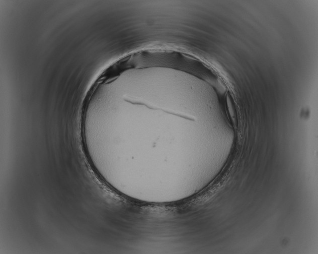 X0000096970896200803071003