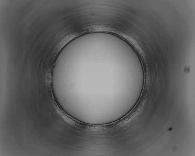 X0000096970897200803071003