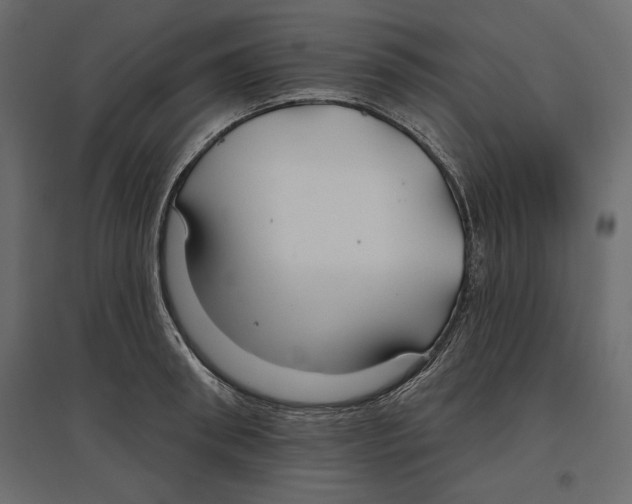 X0000096970898200803071003
