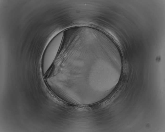 X0000096970899200803071003