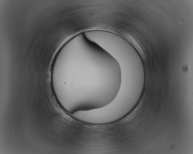 X0000096970900200803071003