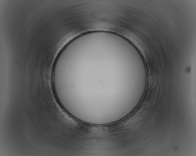 X0000096970901200803071003