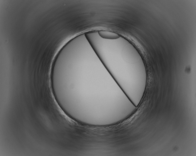 X0000096970902200803071003