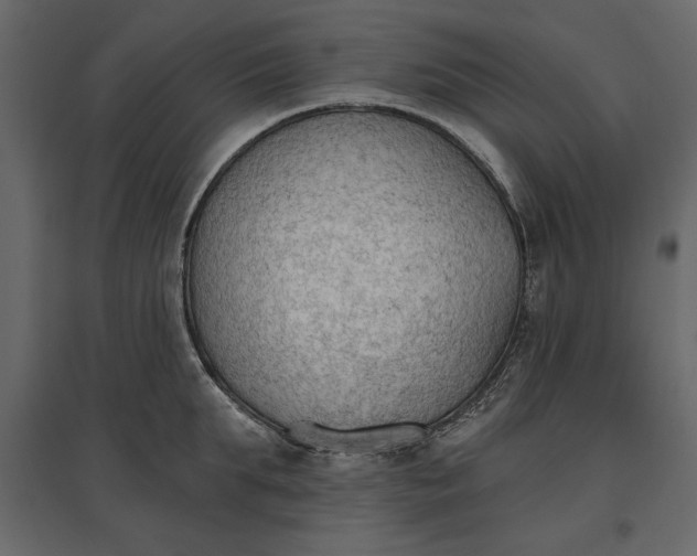 X0000096970903200803071003