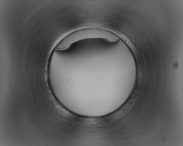 X0000096970904200803071003