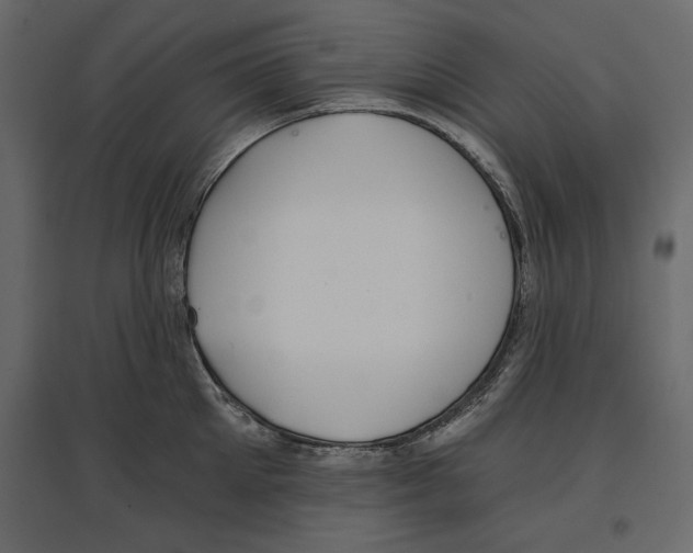 X0000096970905200803071003