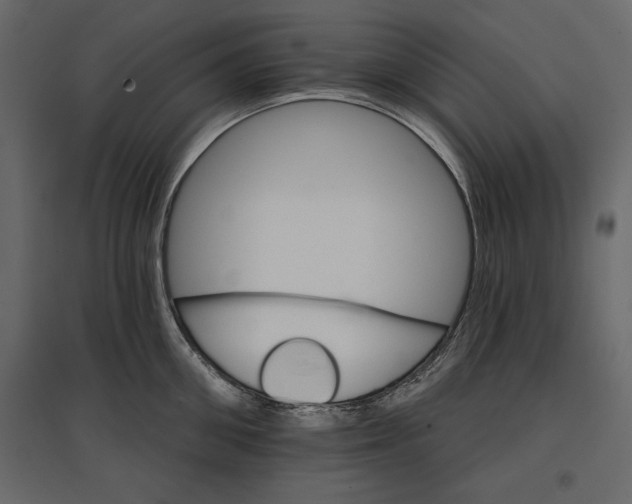 X0000096970906200803071003