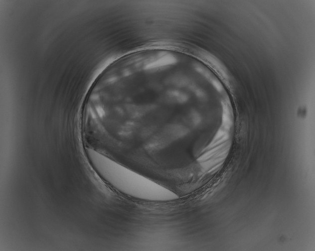 X0000096970907200803071003