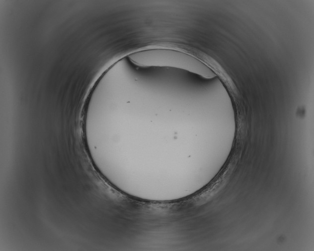 X0000096970908200803071003