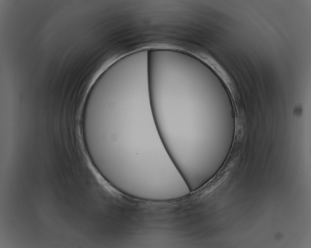 X0000096970909200803071003