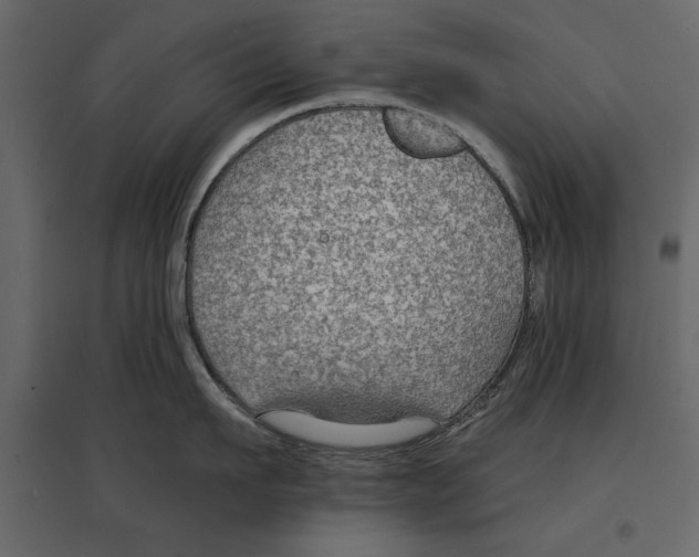 X0000096970911200803071003