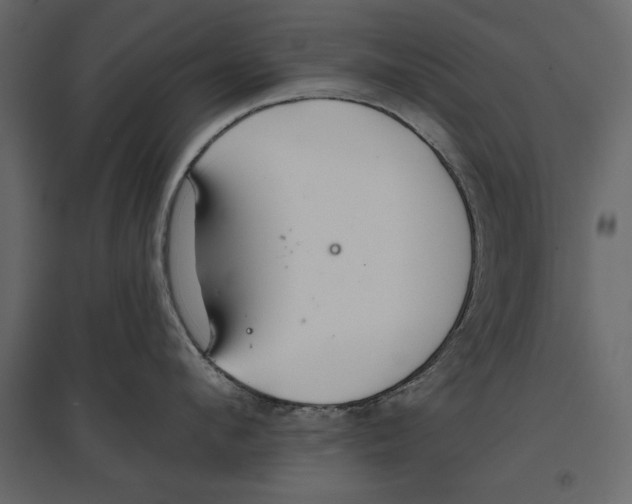 X0000096970912200803071003